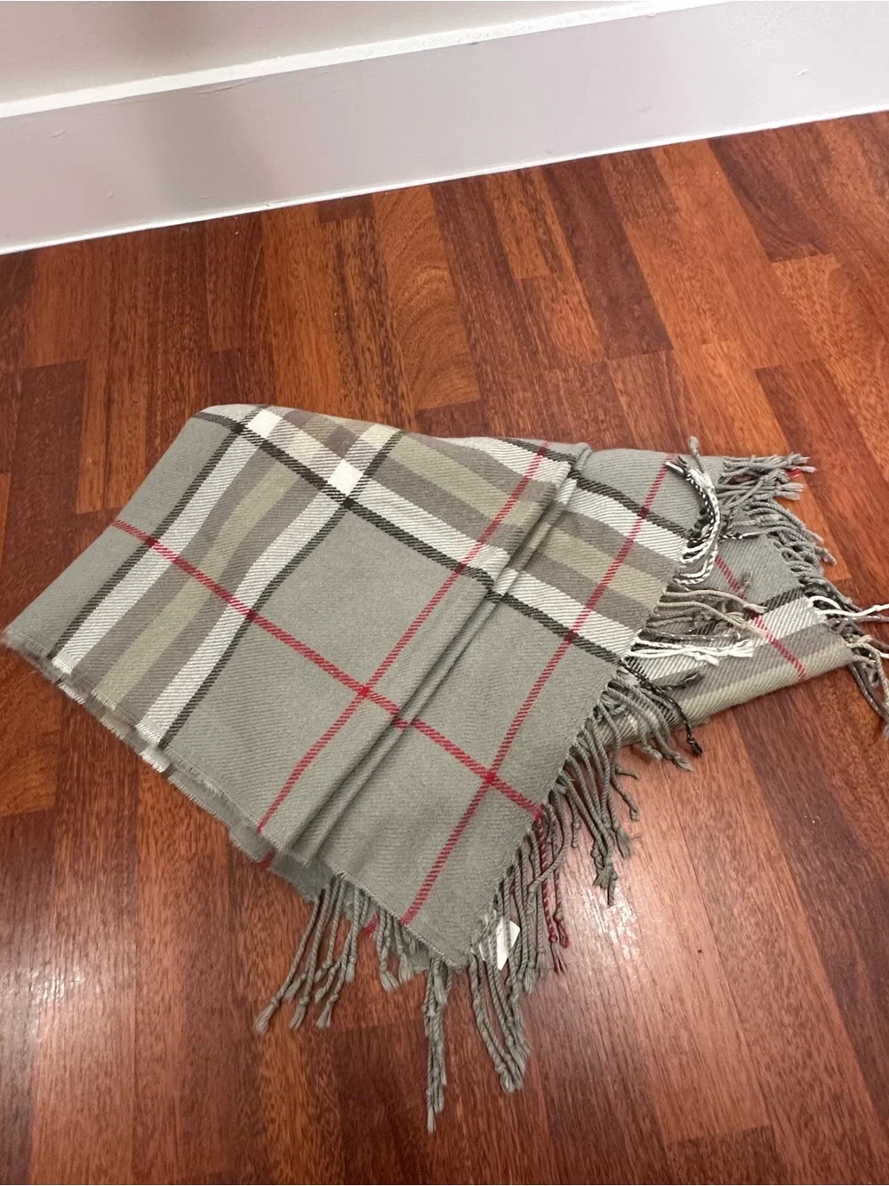Pottery Barn Gray & Red Plaid Fringe throw blanket